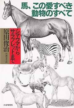 サラブレッドの研究 サラブレッドの研究